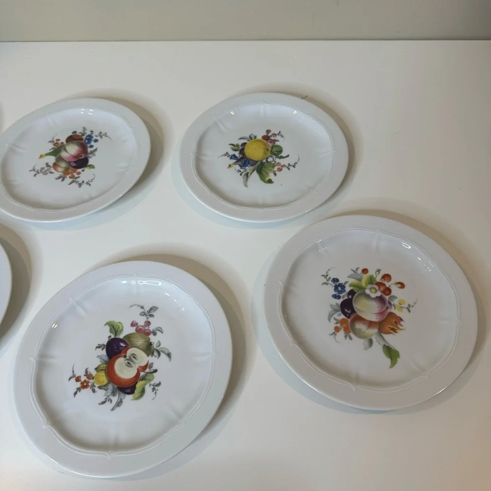 VOHENSTRAUSS-Johann Seltmann-Bavarian Germany Botanical Fruit salad plates